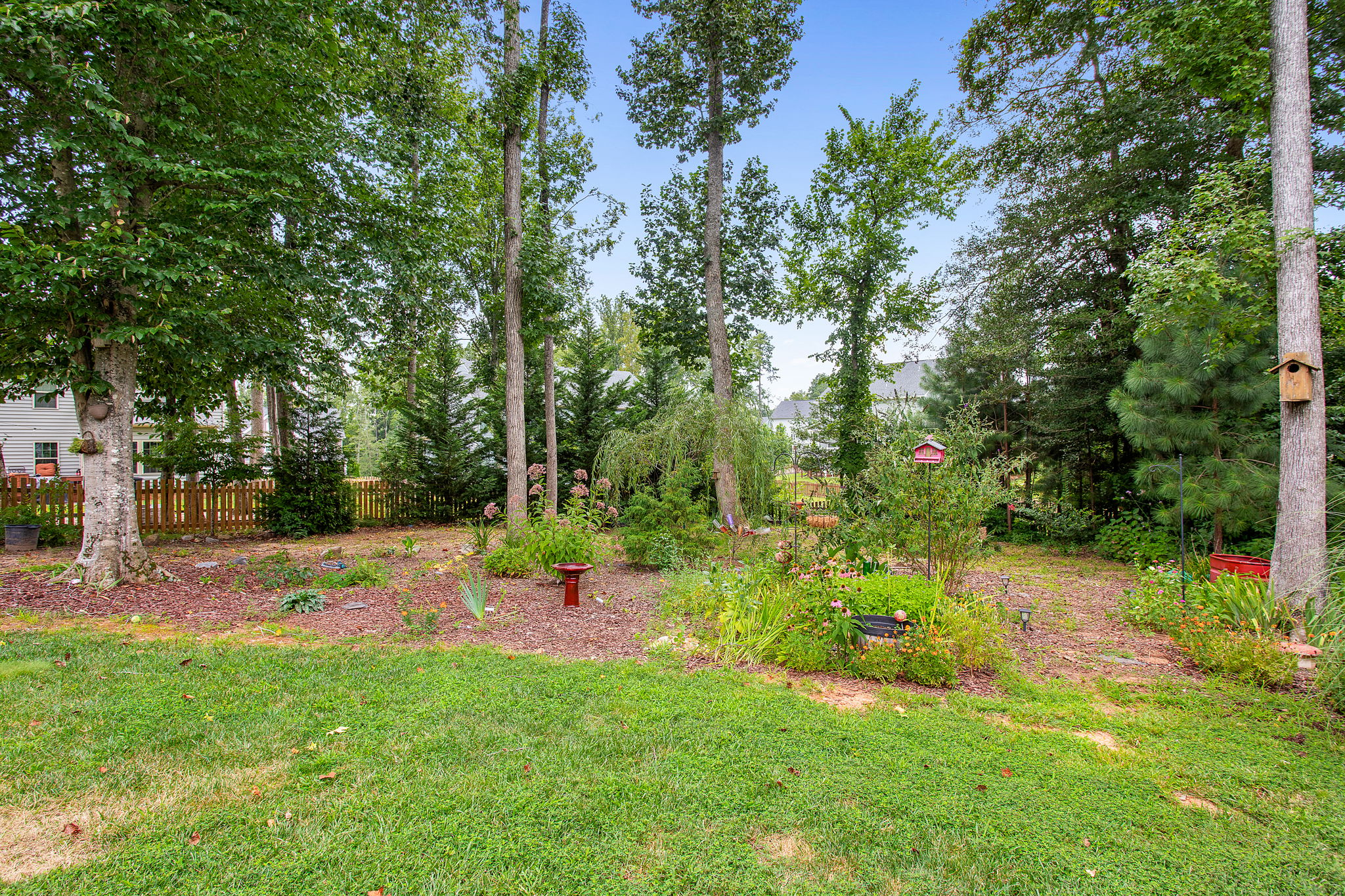 40-Backyard