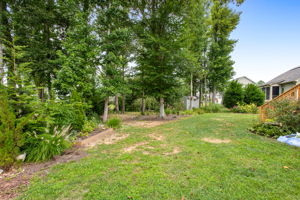 37-Backyard