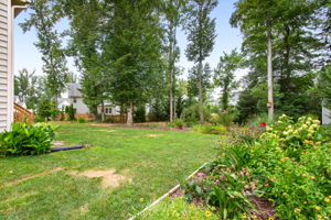 38-Backyard