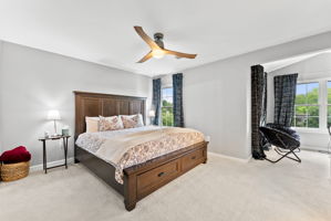  Photo 30