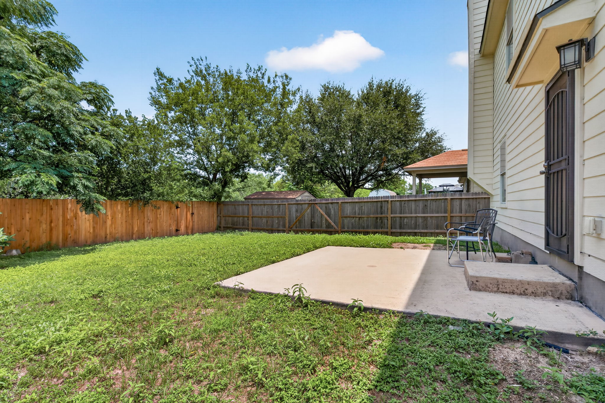 Back Yard
