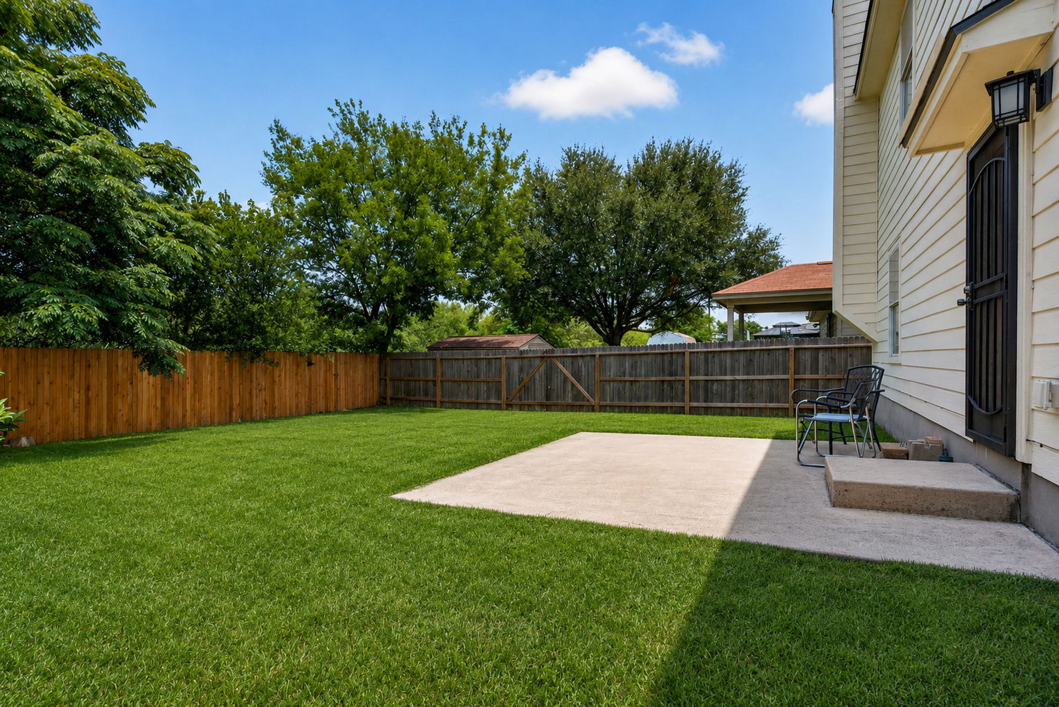 Back Yard
