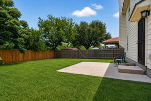 Back Yard