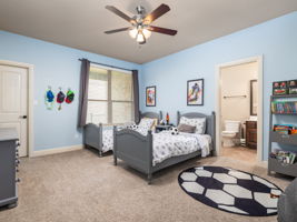 Lower Level - Bedroom 2