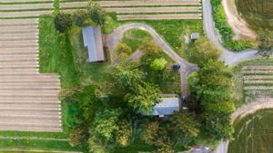  Photo 43