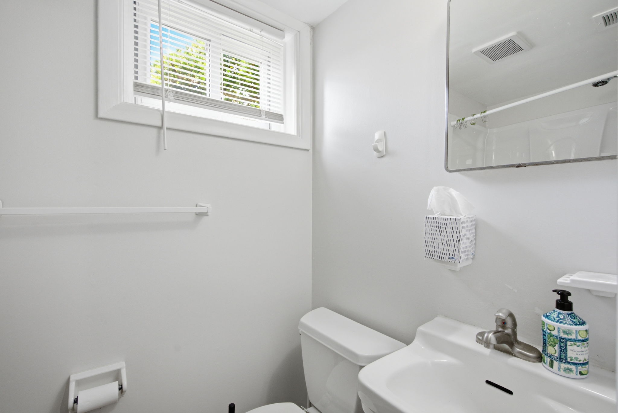 Lower Level Bathroom