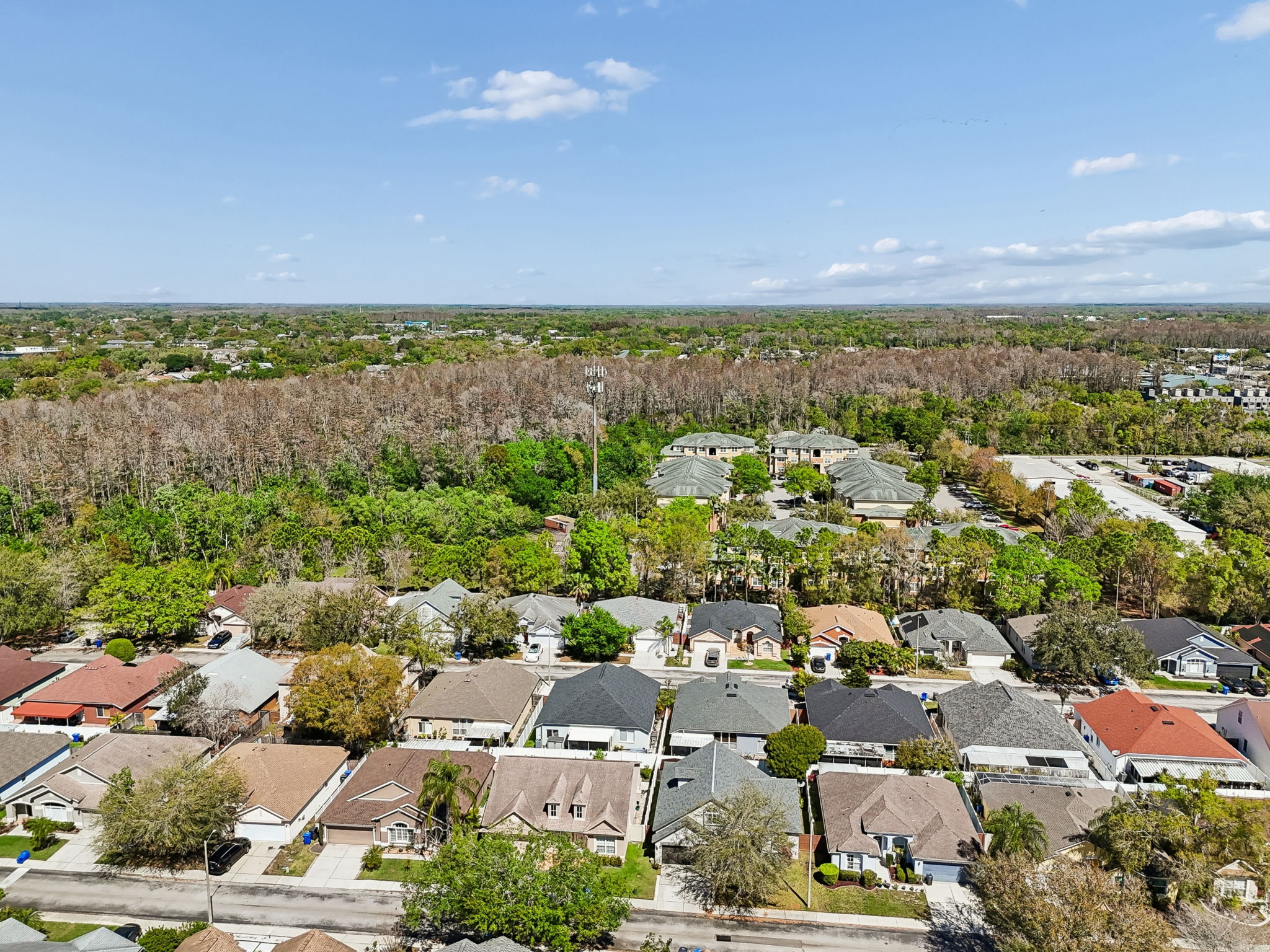 DJI_20260311123833_0133_D