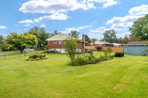  Photo 46