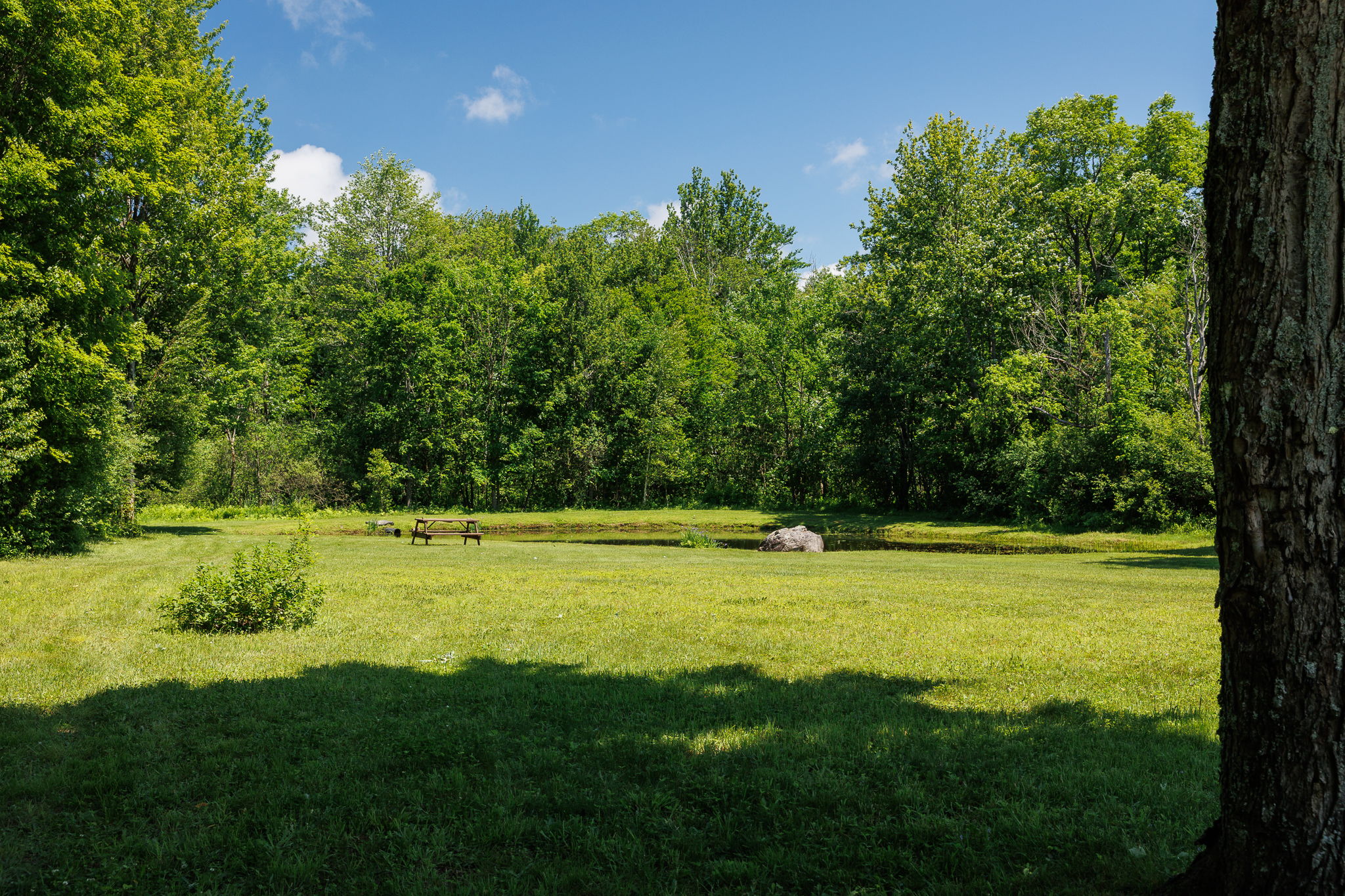 882 County Route 13-39