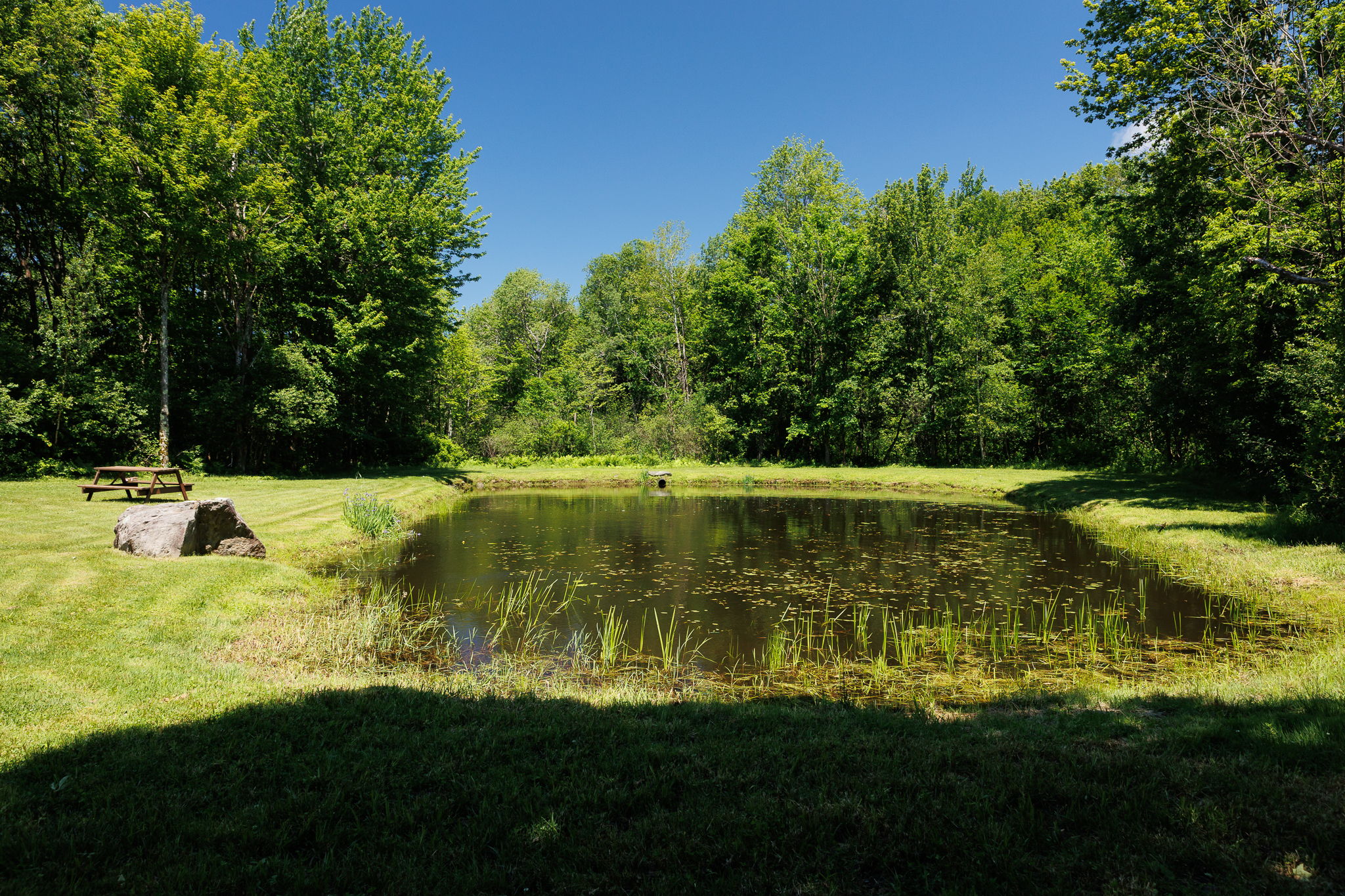 882 County Route 13-40