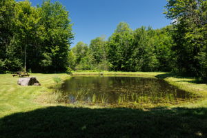 882 County Route 13-40