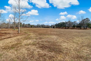 Tribble Mill Park