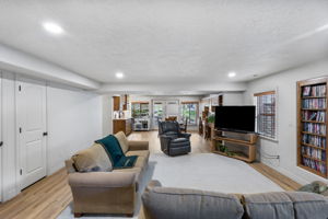Lower Level - Main Living Area