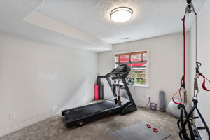 Lower Level - Bedroom