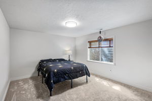 Lower Level - Bedroom