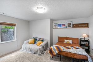 Lower Level - Bedroom