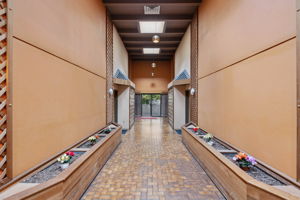  Photo 0