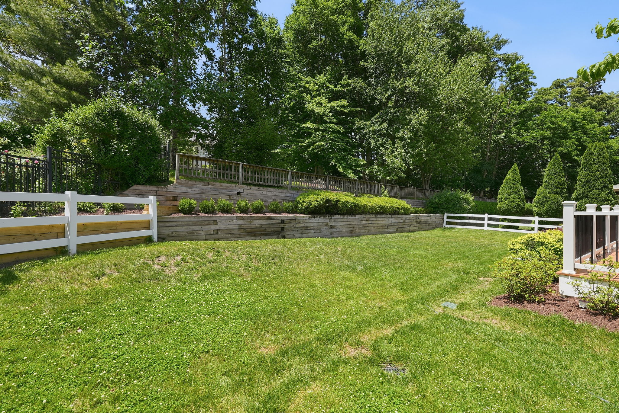Scenic Rear Yard