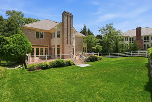Rear Yard Overview
