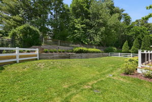Scenic Rear Yard