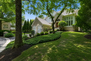 Mature Landscaping