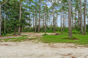  Photo 49
