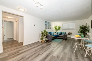 Great Interior Flow