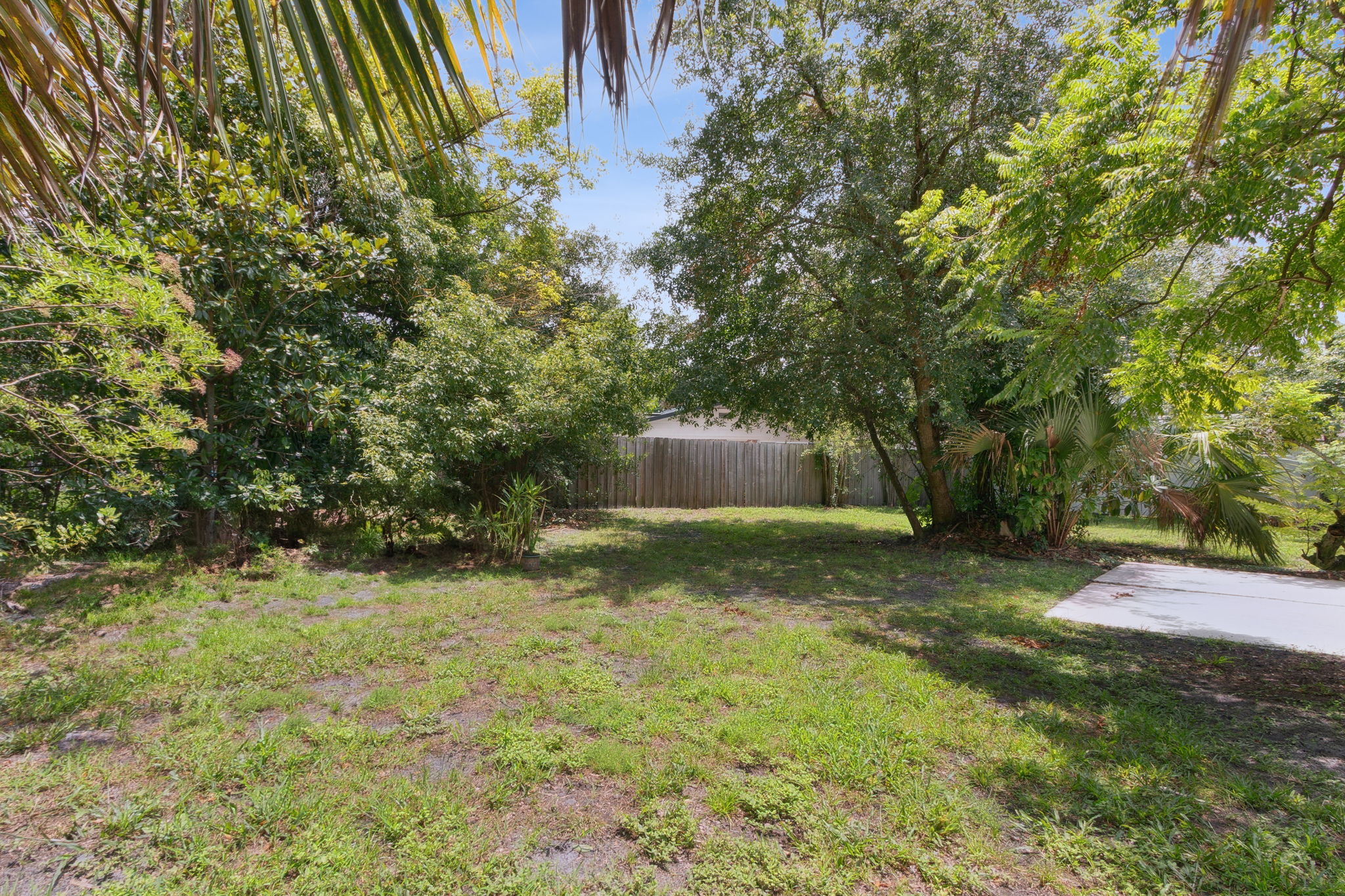 Backyard