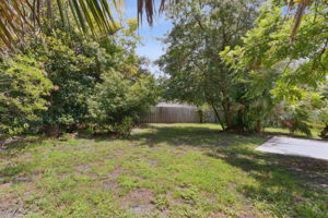 Backyard
