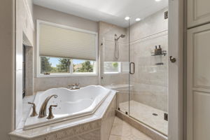 Primary Bathroom 3