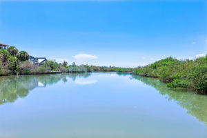  Photo 50