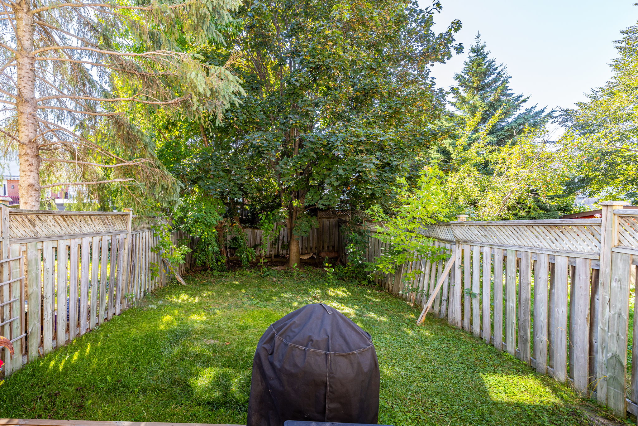 Newmarket property showcase — delivered property photograph 28