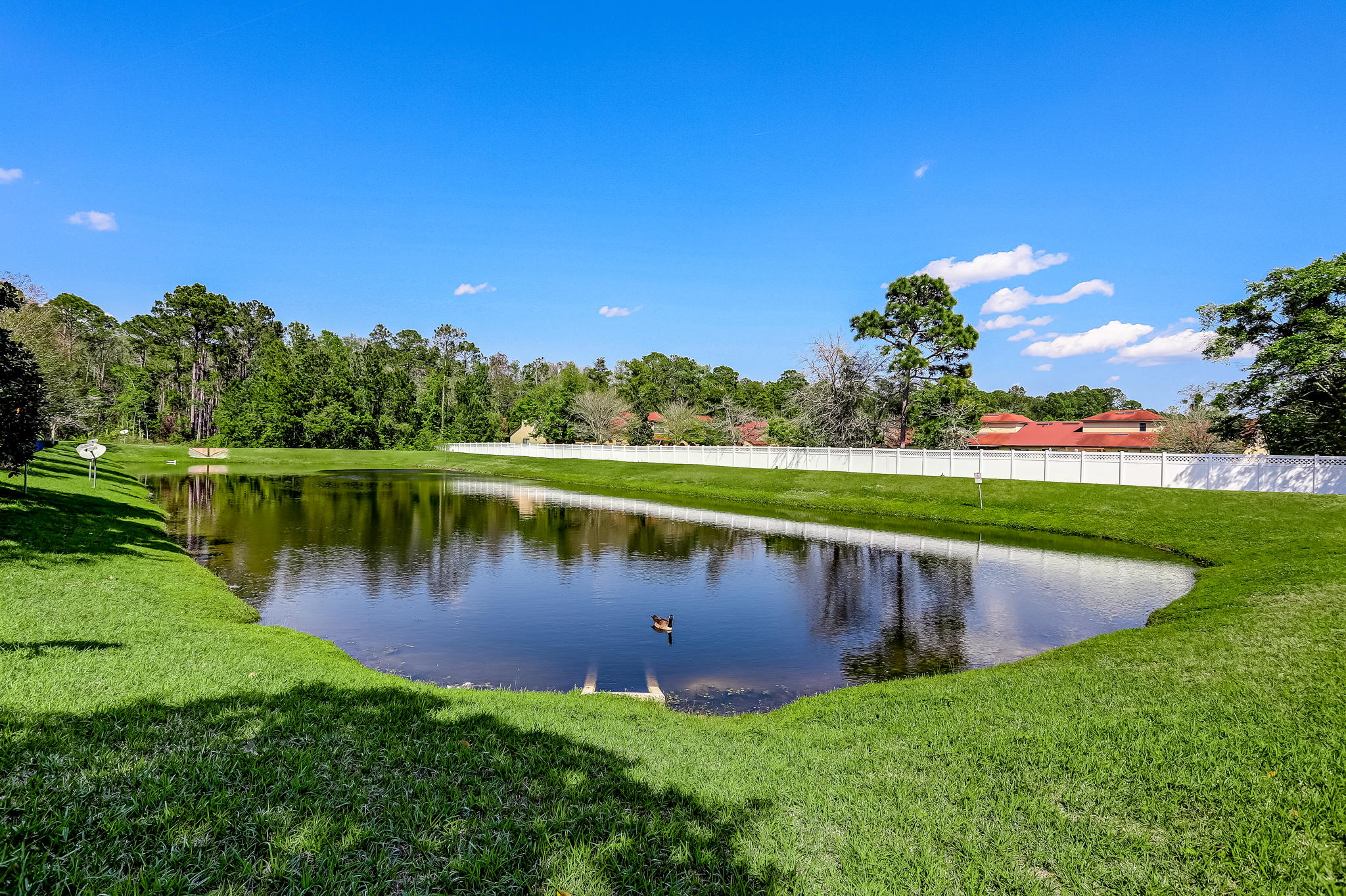 Lake View