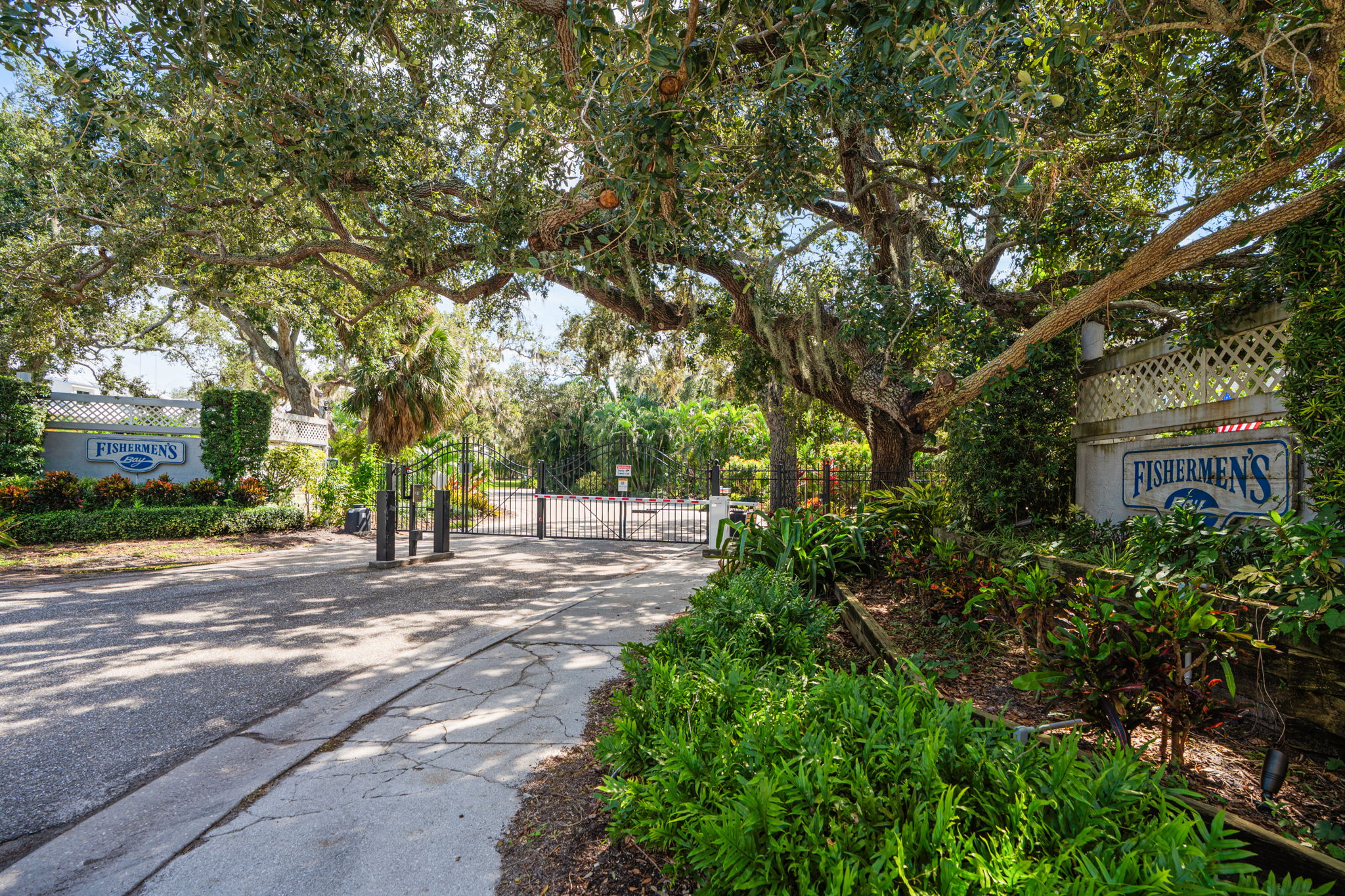  Photo 91