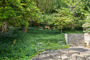 Image-48