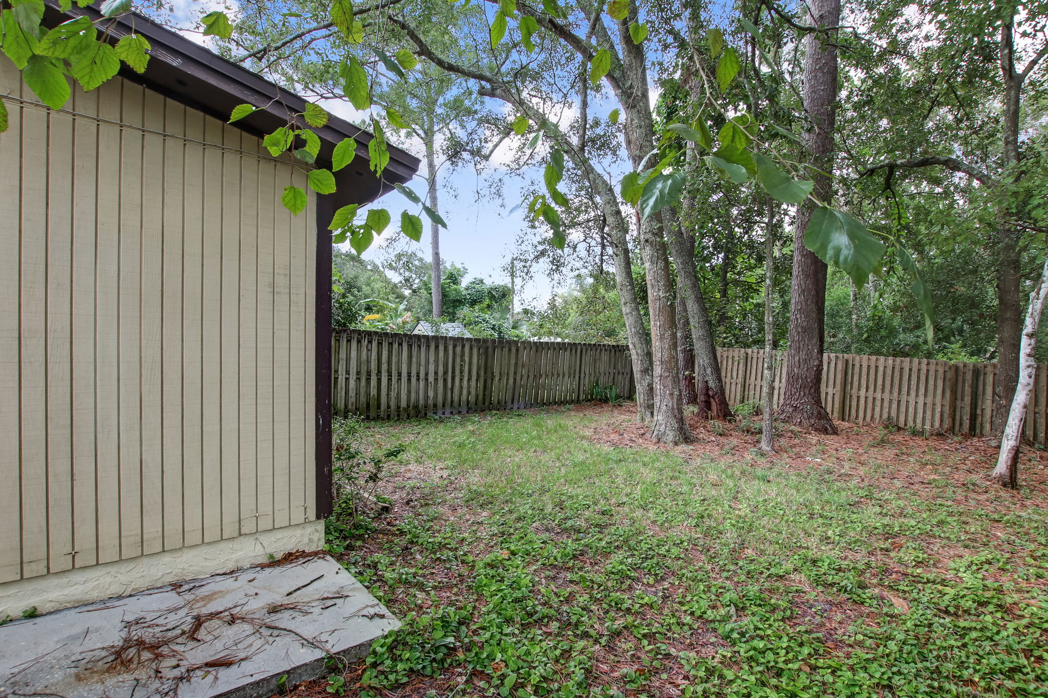 Back Yard