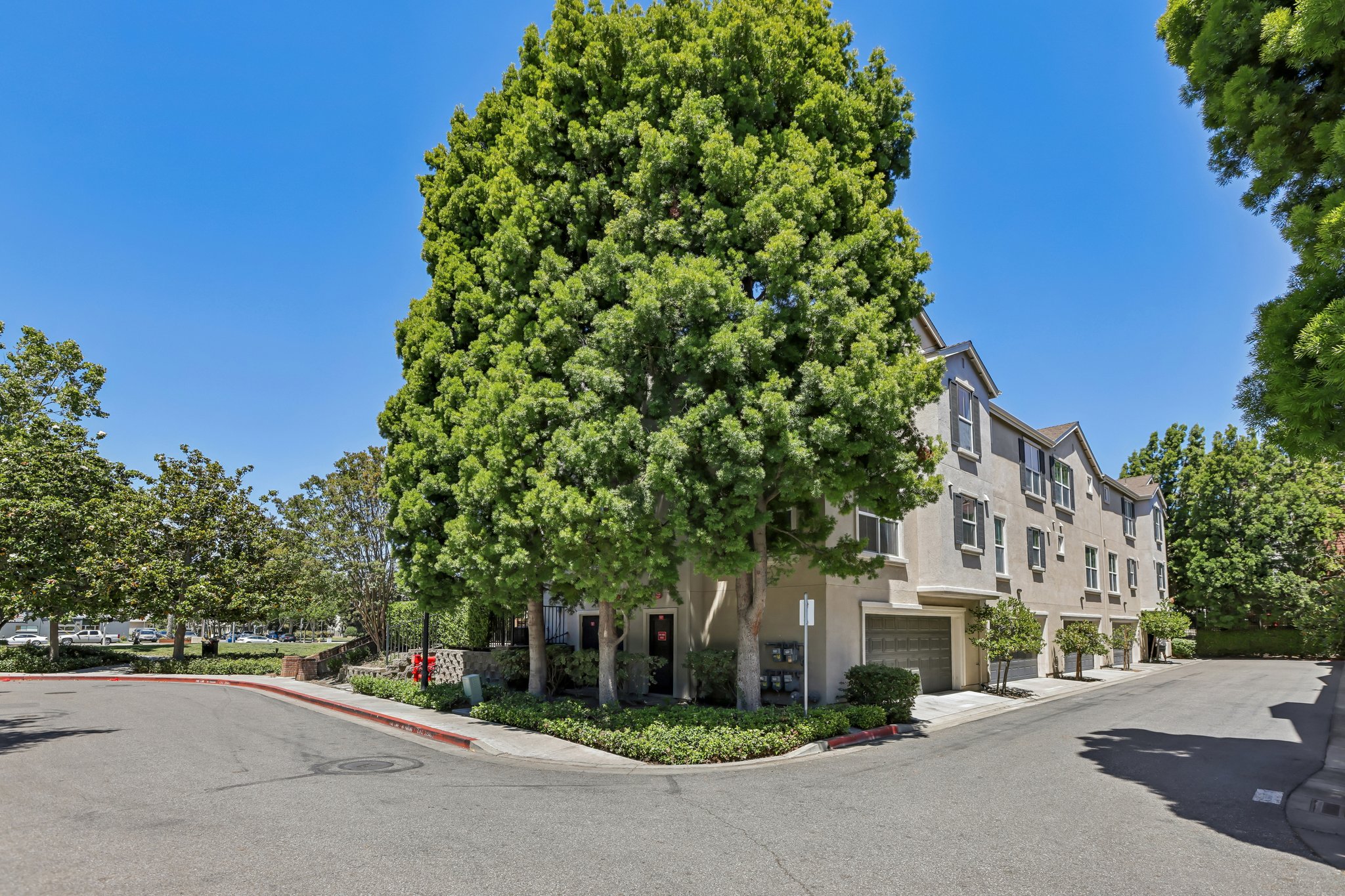 Georgetown Pl-S1206-045.jpg