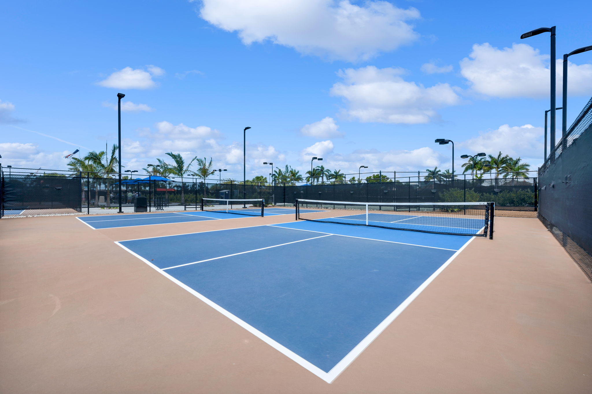 Pickle Ball
