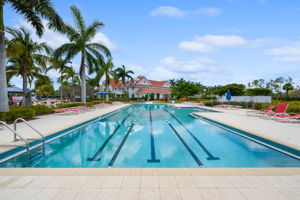 Lap Pool View 3