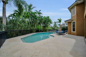 Patio and Pool1