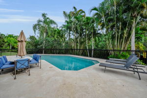 Patio and Pool4