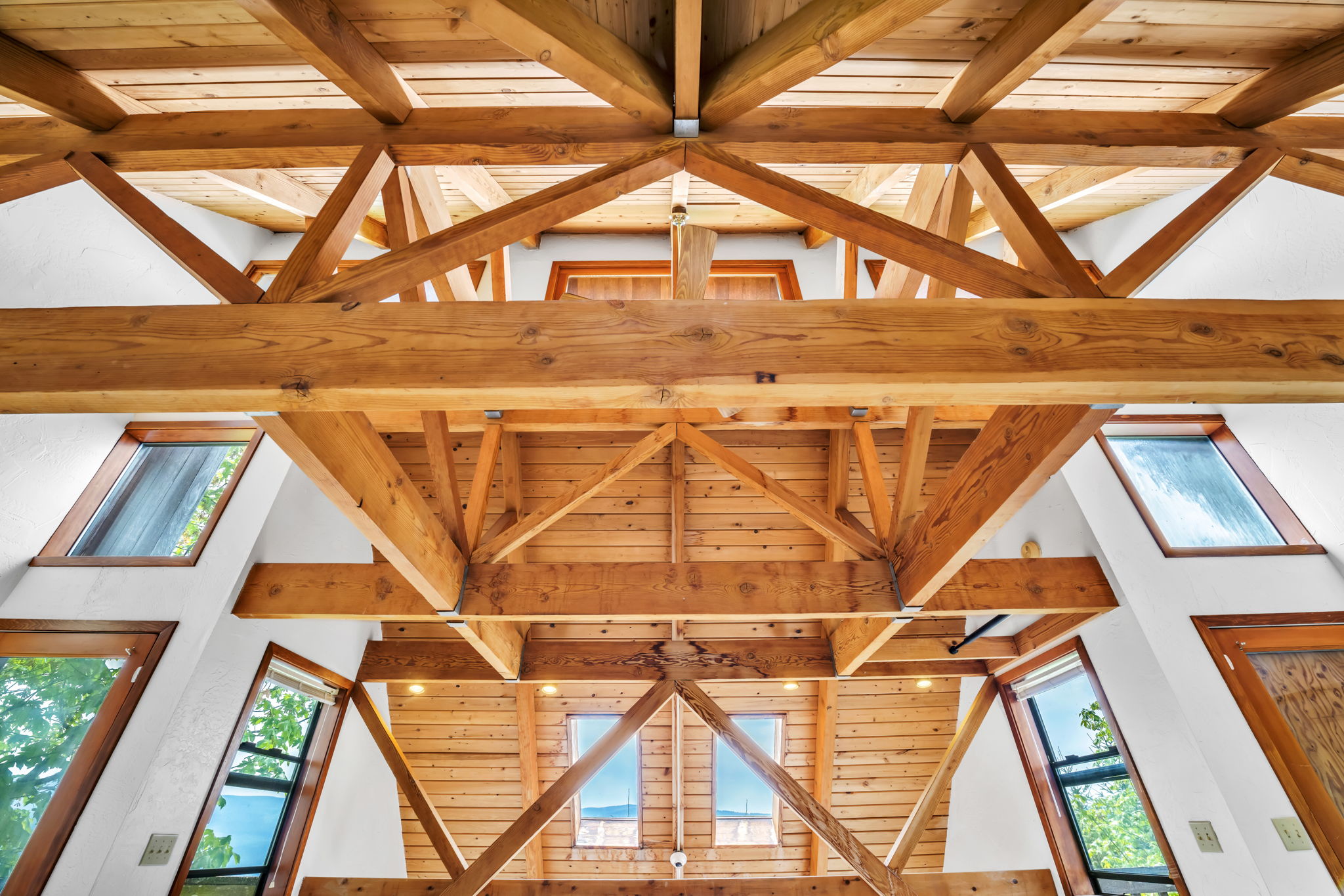  Photo 89