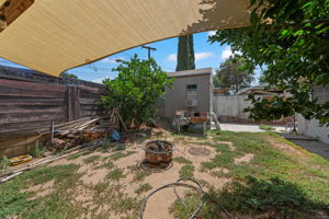  Photo 38