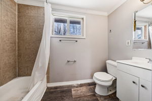 Albany St Unit 4 Studio Back-S0502-006