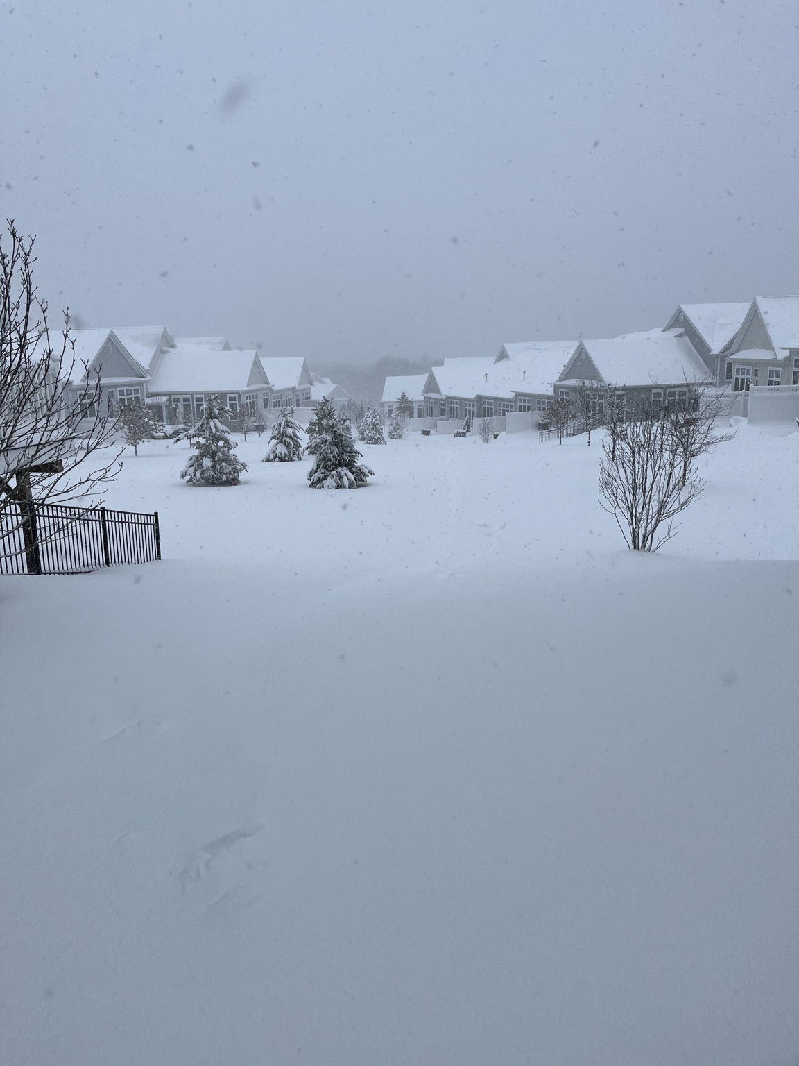 Maintenance-free living. Snow removal and countless other details are handled by the association—leaving you free to enjoy life.