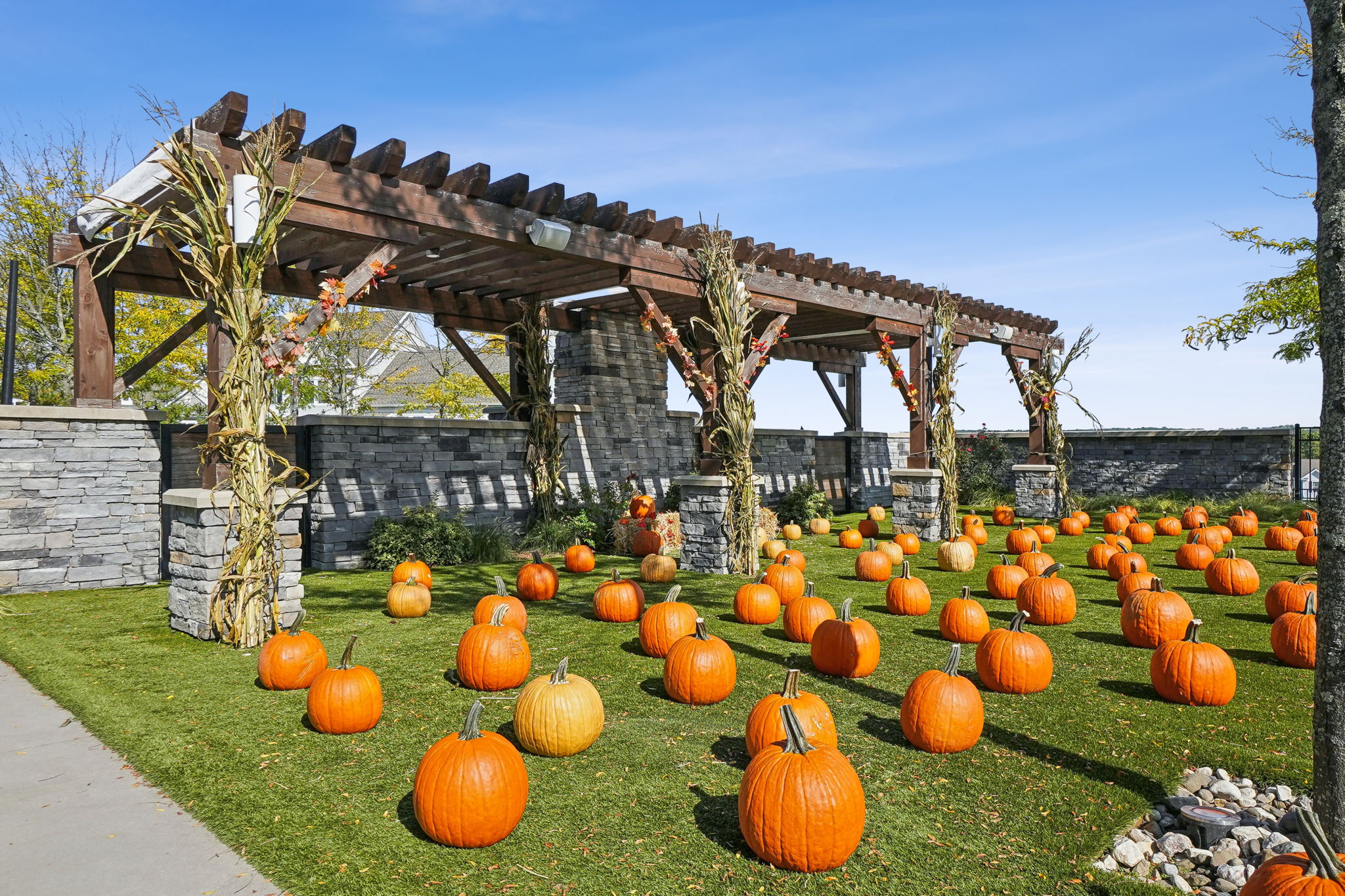 Pumpkin Patch in the fall, sunning area in the summer!