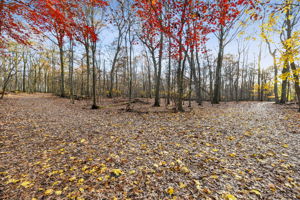 Miles of wooded walking trails all around the complex.