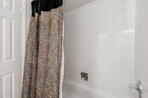  Photo 50
