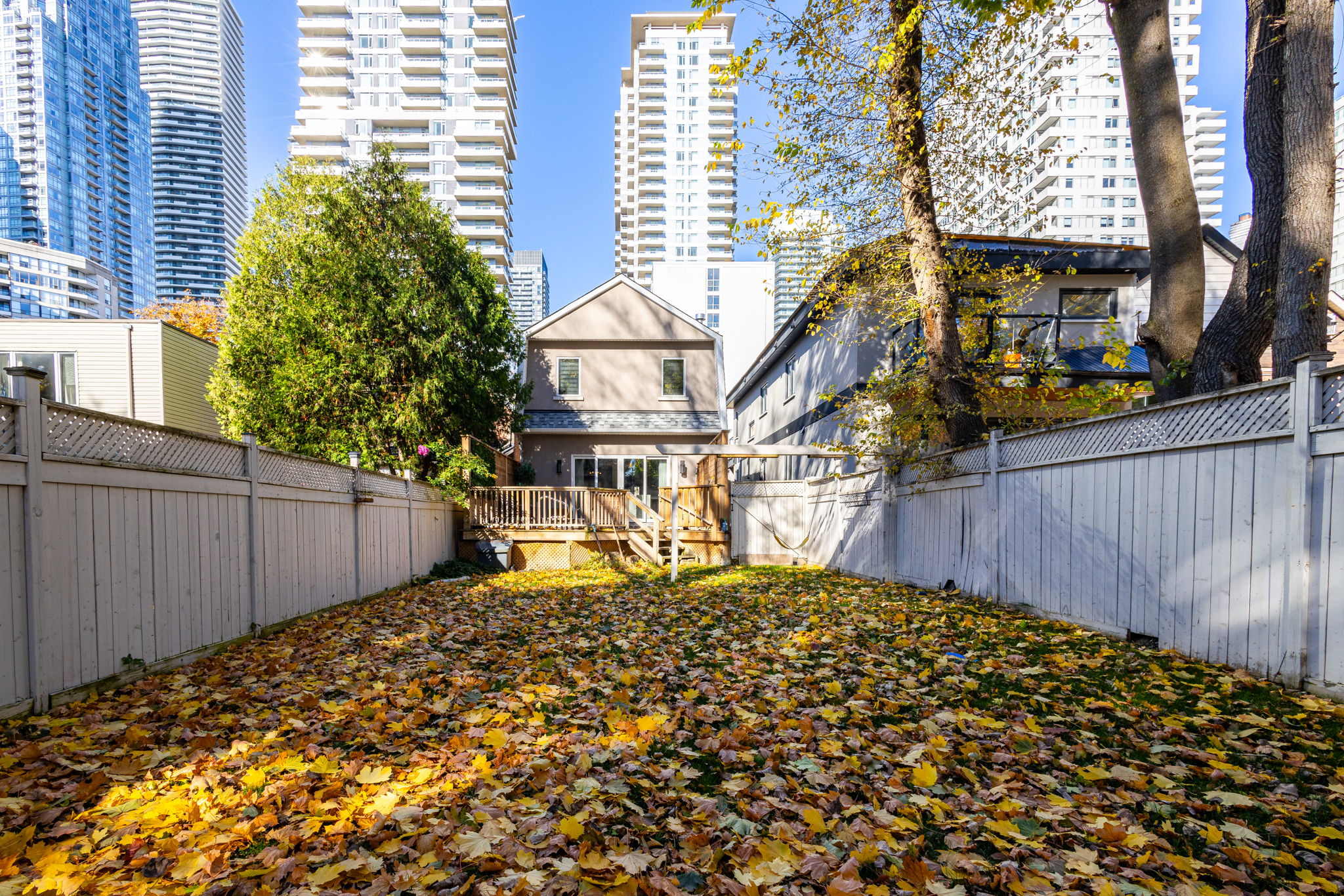 Toronto property showcase — delivered property photograph 42