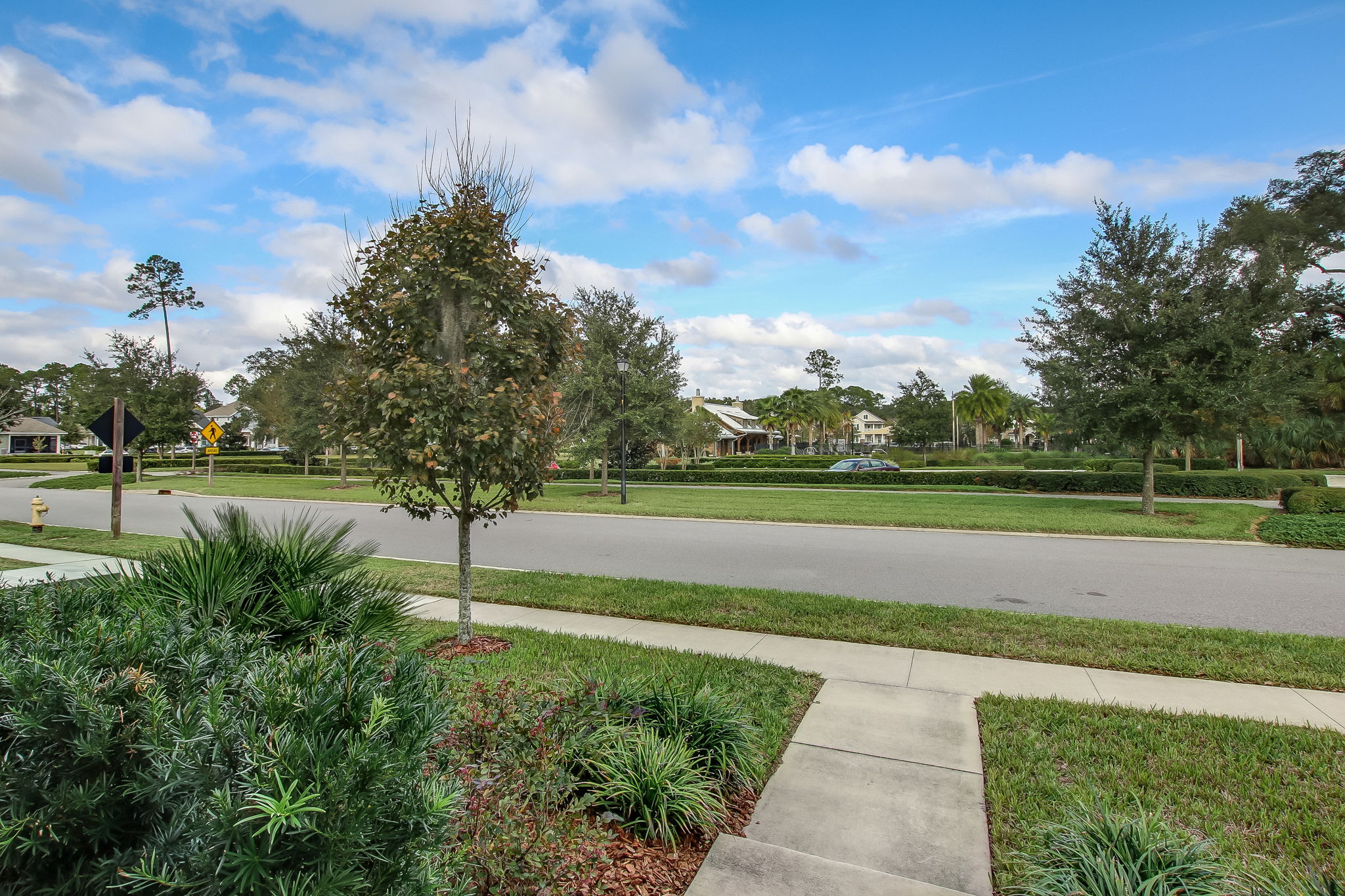 Front Walkway